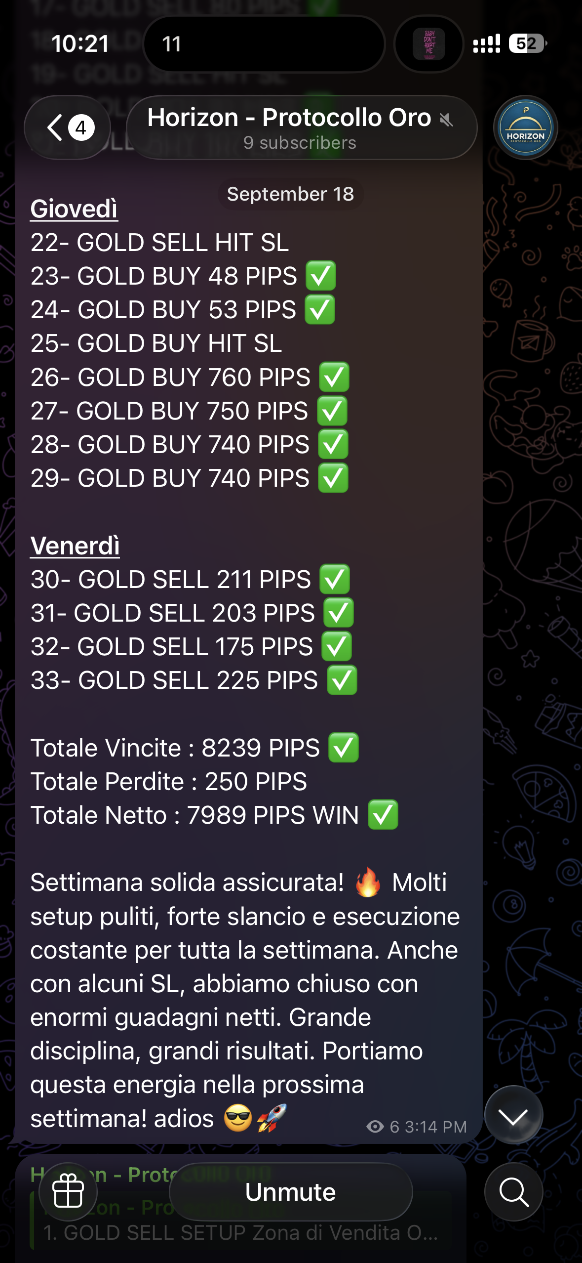 Horizon: riepilogo con pips positivi, perdite e totale netto.